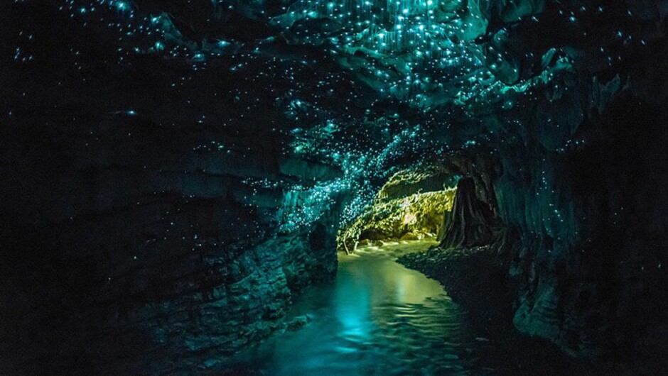 Glowworms above Waitomo River