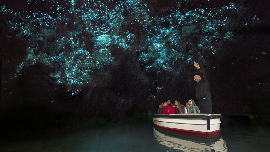 Waitomo Glowworm Caves Boat Tour