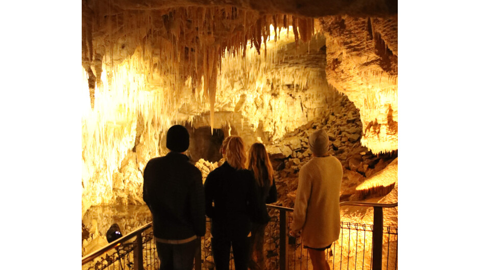 Waitomo Caves Walking Tour
