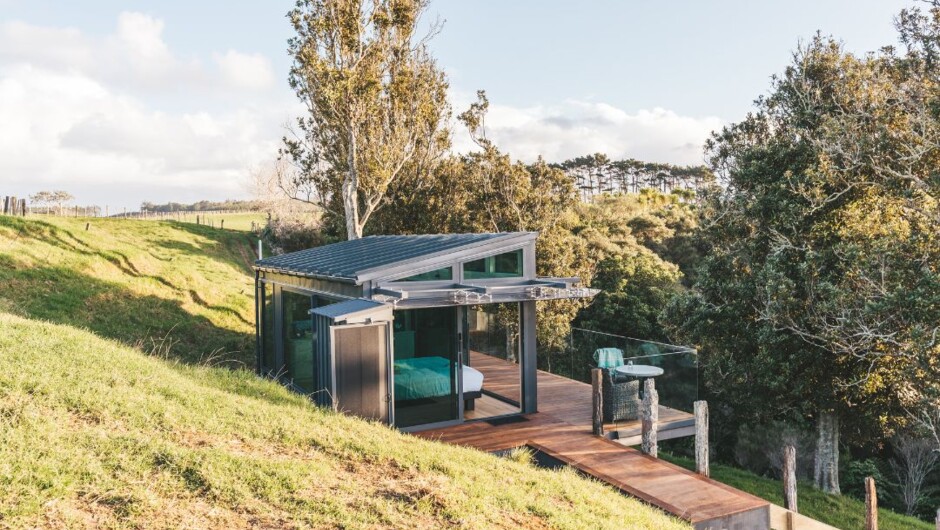 Rewarewa PurePod by day on the edge of the bird corridor