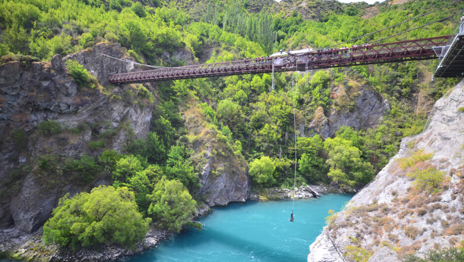 New Zealand bungy jumping