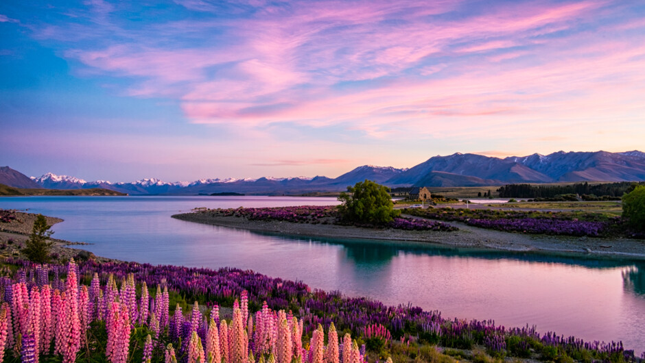 Lake Tekapo at dawn