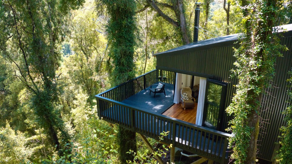 Te Aka Treehouse seamlessly nestled into the forest.