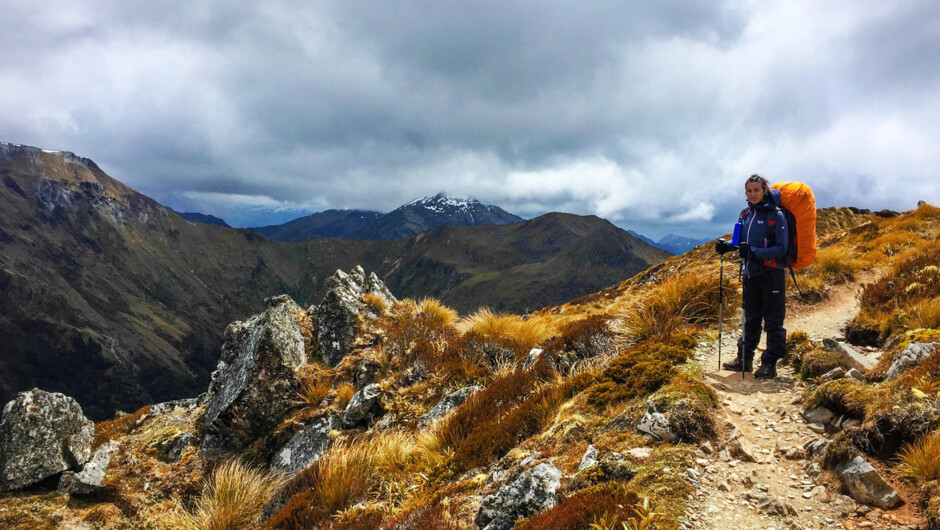 Kepler Track