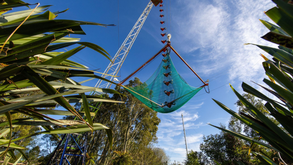 Rotorua Vertigo 43 metre drop