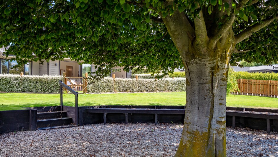 Under the Copper Beech tree