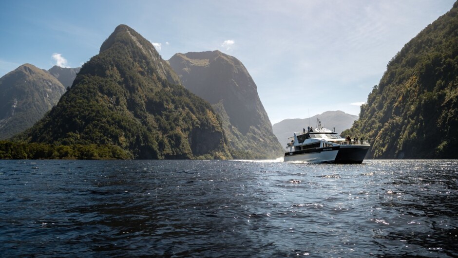 Doubtful Sound Wilderness Cruise