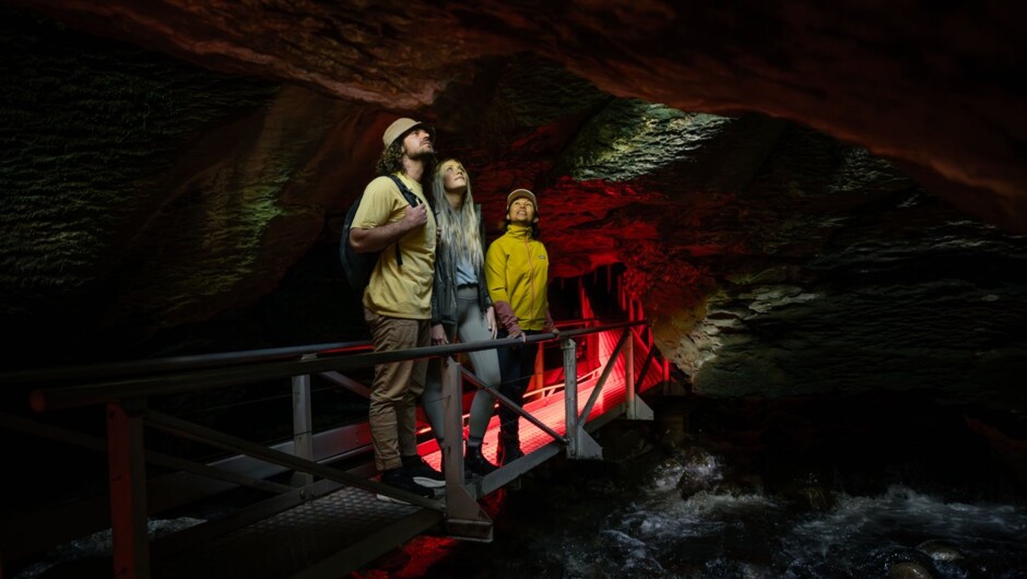 Te Anau Glowworm Caves