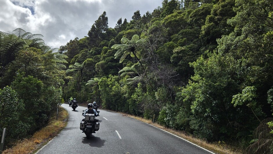 Riding the West Coast of the South Island