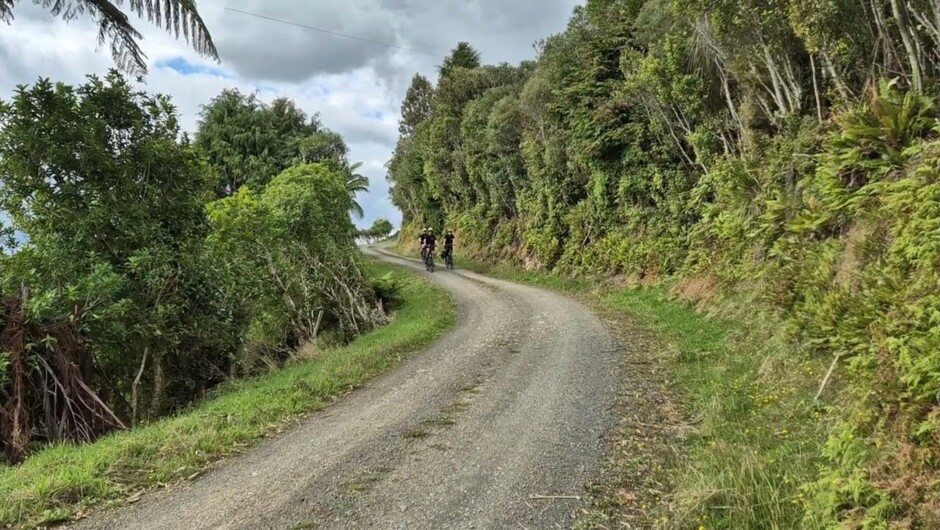 Caves to Coast Ride, Whareorino Conservation Area