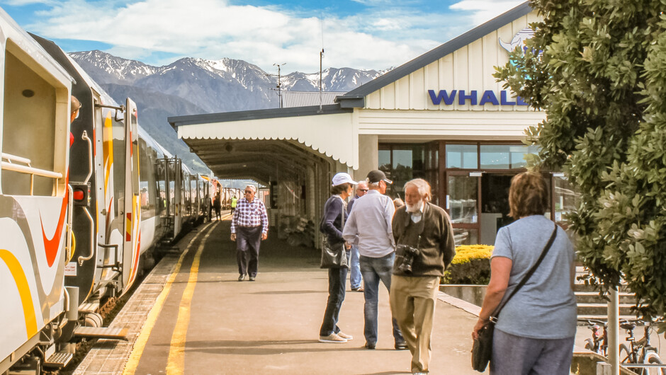 Coastal Pacific at Kaikoura Station