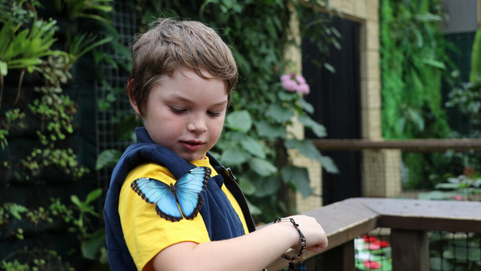 Tropical Butterfly House