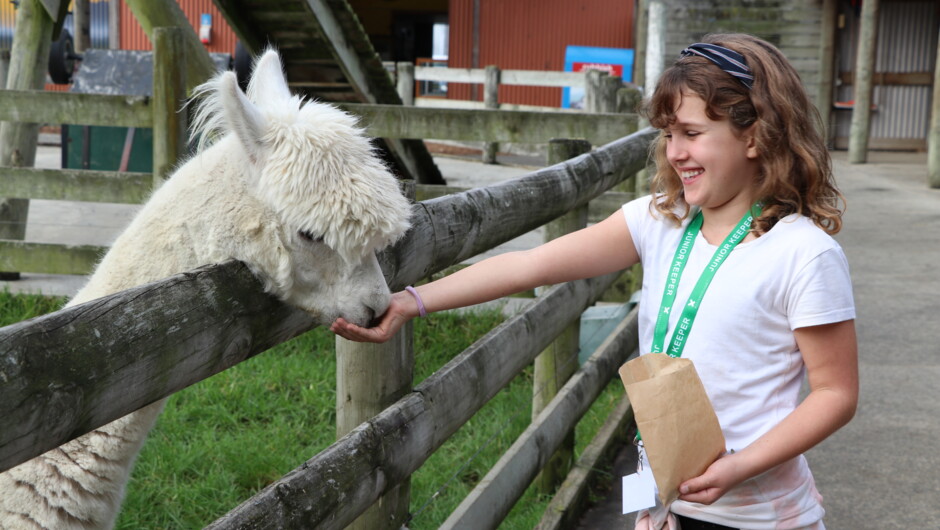 Feed the animals in Buttermilk Farm