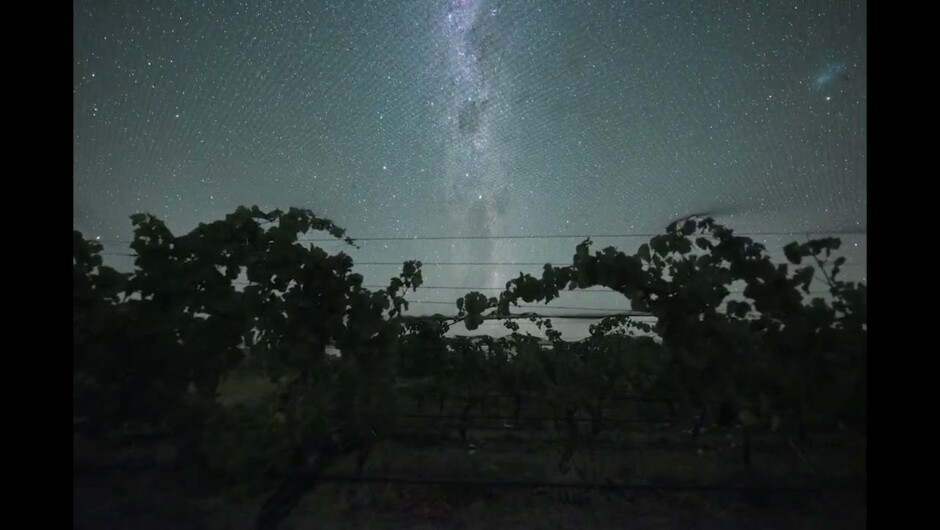 Luna Night Sky - Martinborough Vineyard