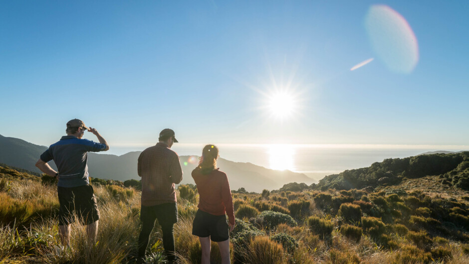 Overlooking the West Coast