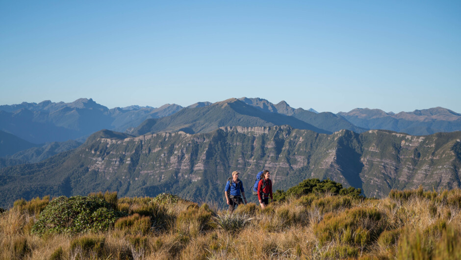 Hiking the Paparoa Track