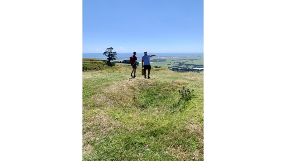 Views from Karamuramu Pā towards Maketū