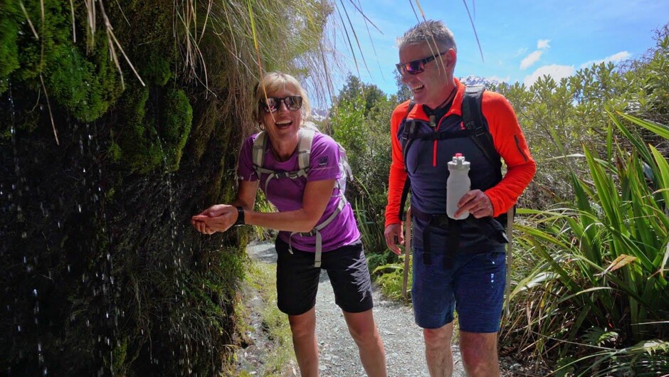 Fiordland Trips & Tramps Routeburn Track Guided Walk