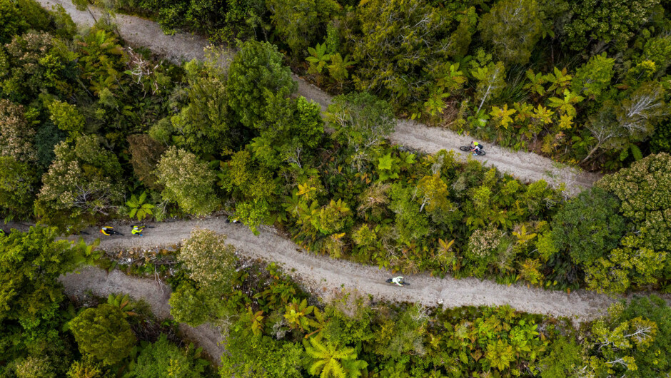 Experience the lush West Coast Wilderness Trail