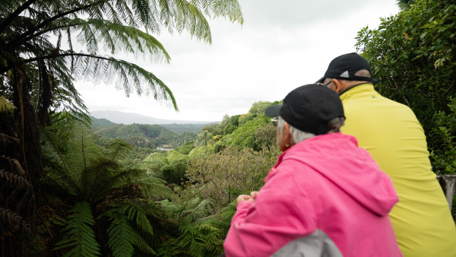 Surrounded by beautiful native NZ, the relaxing valley walk is suitable for everyone