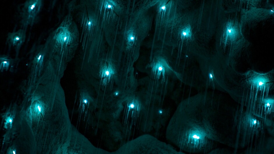 Kawiti Glow Worms