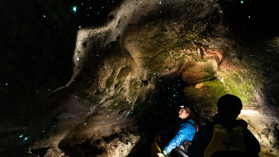 Exploring glow worms in Rotorua