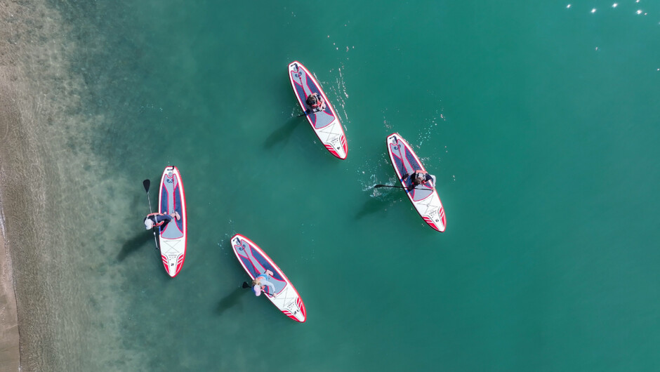 Appreciate the Nelson Haven by standup paddleboard.