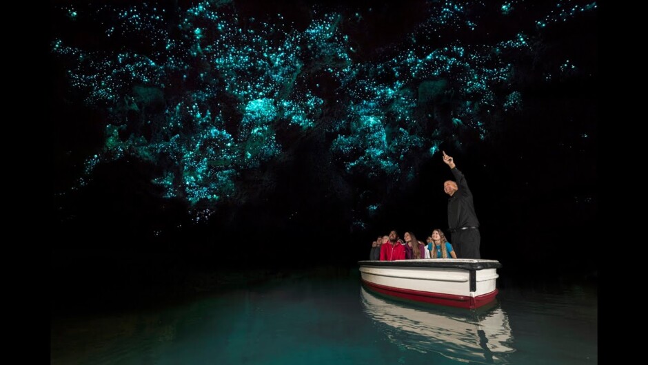 Discover Waitomo Glowworm Caves | New Zealand