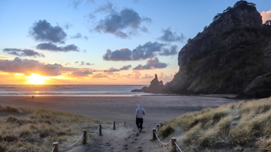 West Coast Black Sand Beaches & Rainforest Tour in Auckland | Activity ...