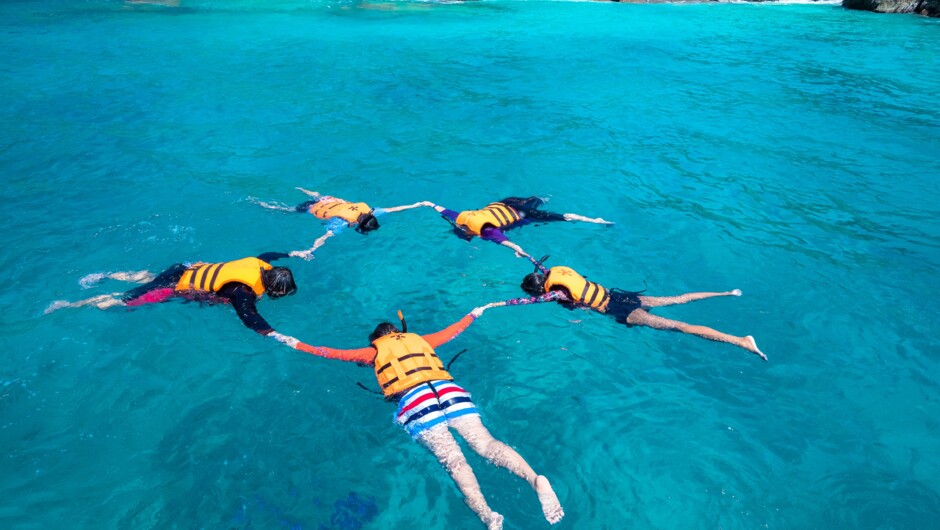 Snorkeling in Auckland