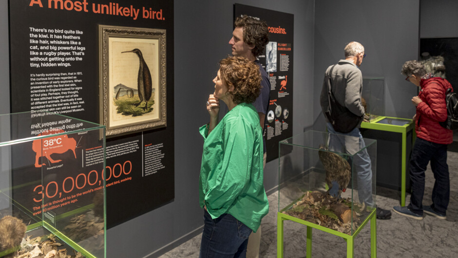 National Kiwi Hatchery is an educational, thought-provoking and truly unique experience.