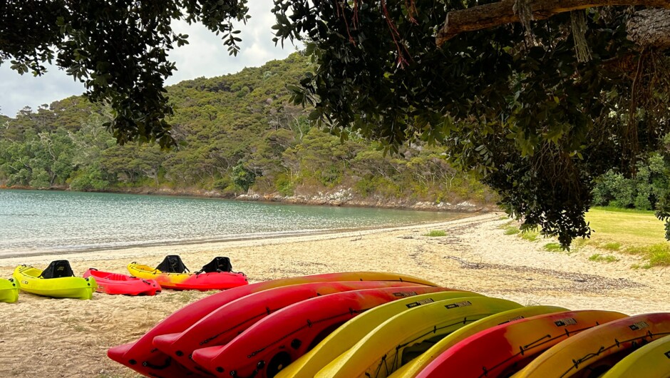 Hire a kayak or paddleboard and explore at your own pace