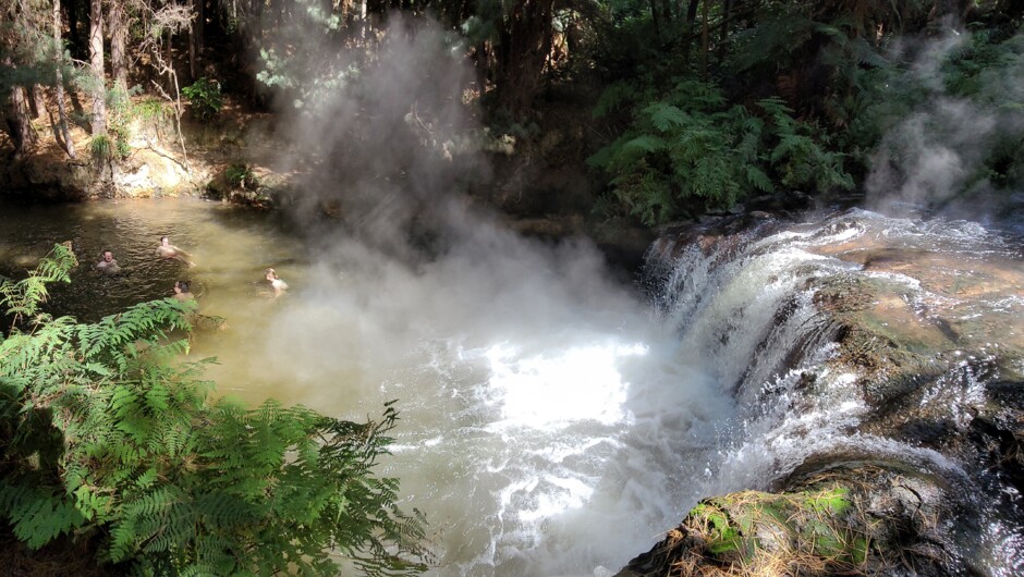 Relax in a natural hot spring surrounded by lush forest.