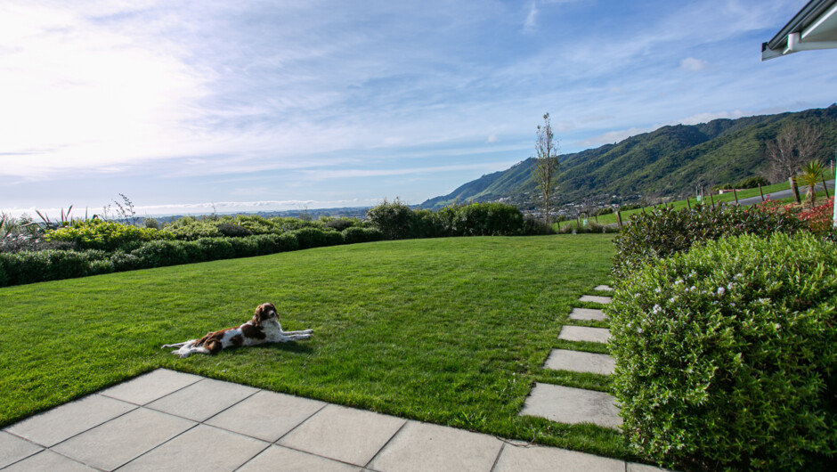 Our resident Brittany Spaniel, Wren, relaxing with the views north on the Kapiti Coast.