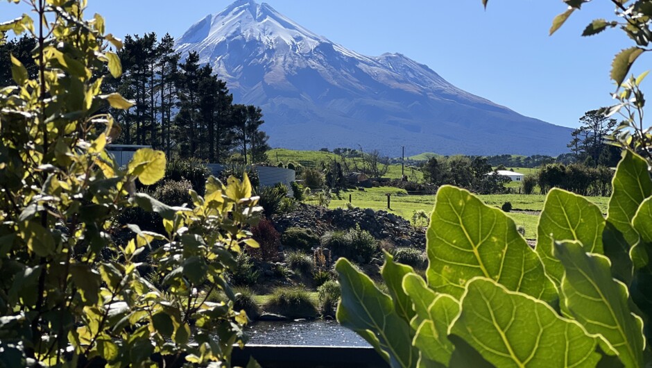 Taranaki Fringe Garden Festival 2024.  Fri 1st Nov - Sun 10th Nov 2024