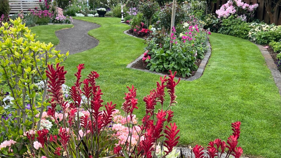 Taranaki Fringe Garden Festival 2024.  Fri 1st Nov - Sun 10th Nov 2024