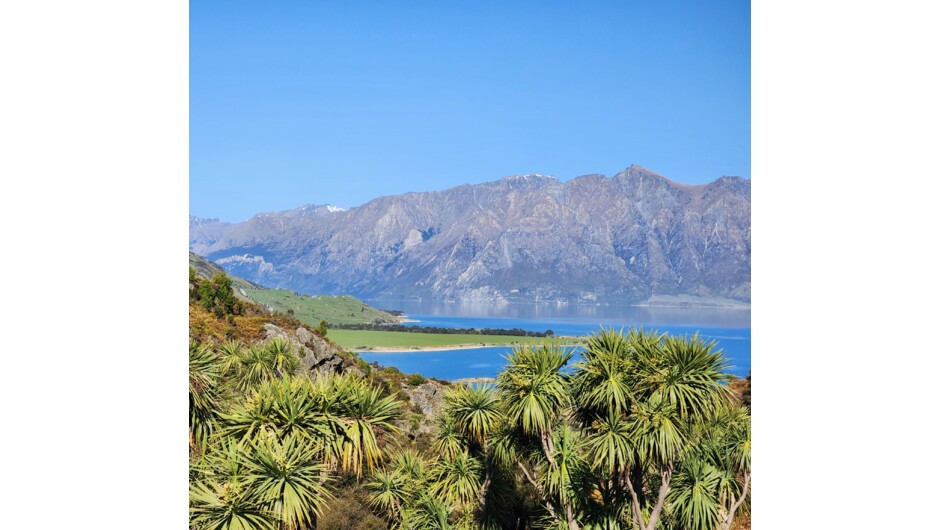 Kaikoura Bay