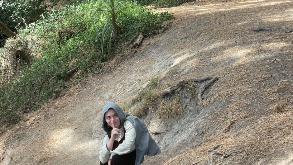 The Hobbits Hideway - Mt Victoria.