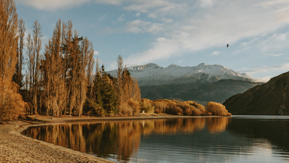 Lake Wanaka