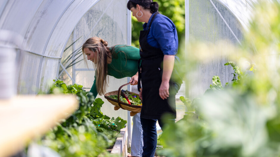 Picking and cooking with fresh seasonal ingredients is fundamental to the Hapuku Kitchen experience