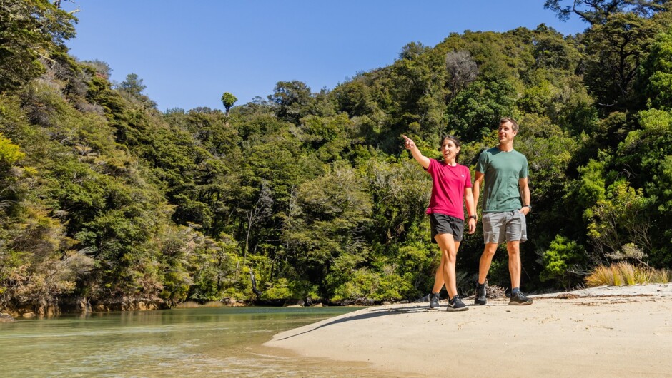 Half or full day Abel Tasman Walk