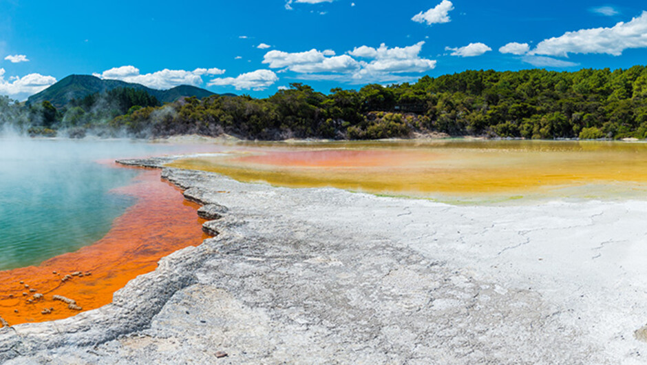 Rotorua's geothermal wonders are seen on a guided walk past geysers, mud holes and more.