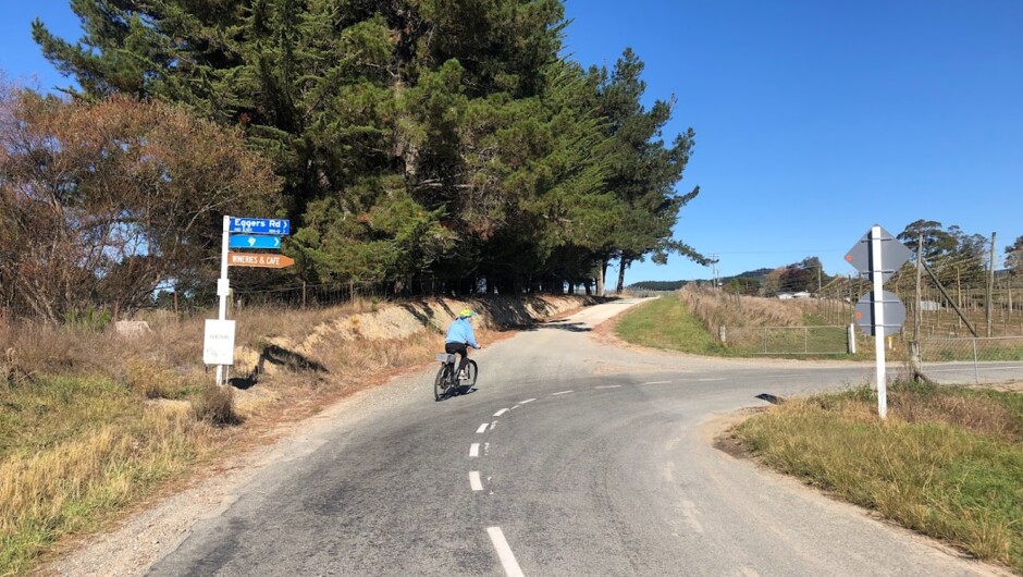 Cycling to Moutere Hills