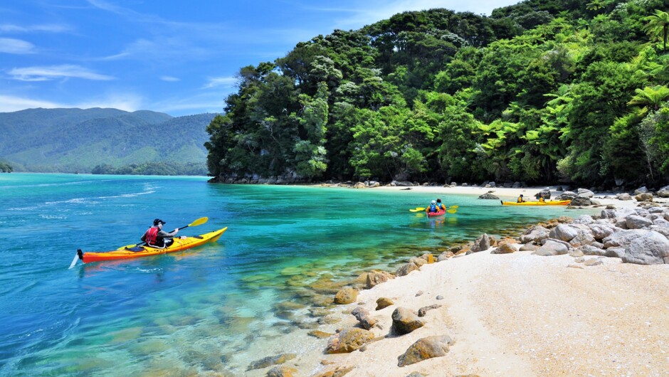 Some of New Zealand's best sea kayaking.