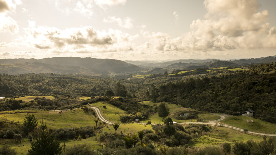 Serenity Hillside