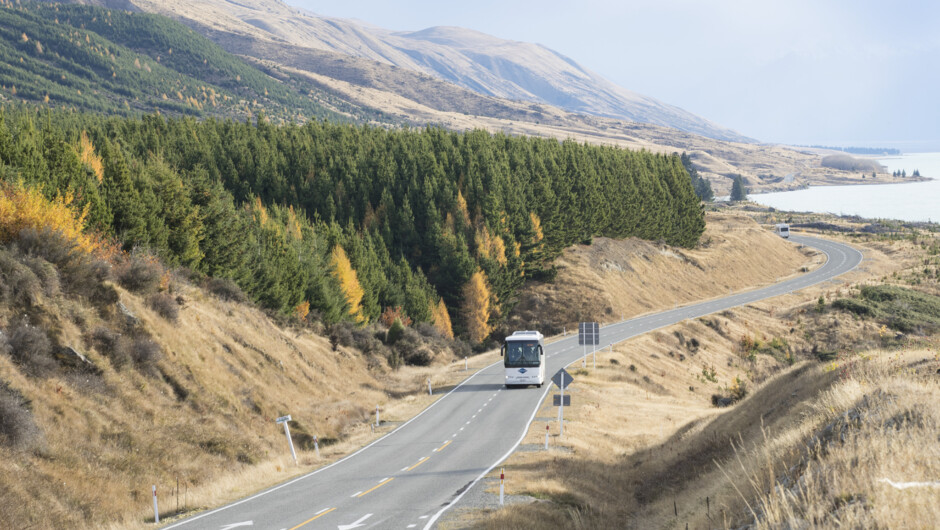 South Island bus