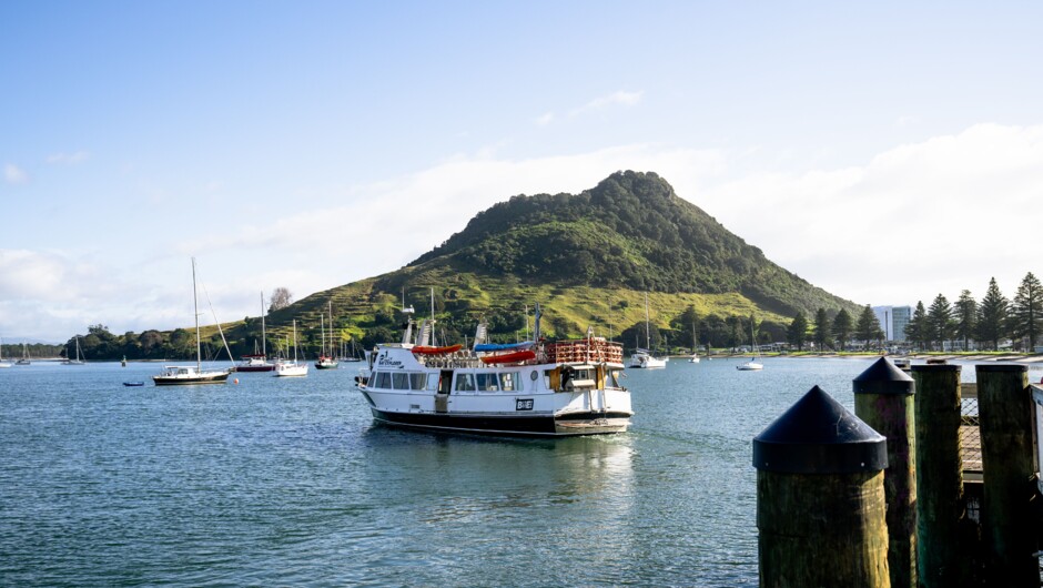 Bay Explorer & Mauao, hear the myth behind the iconic Mount Maunganui.