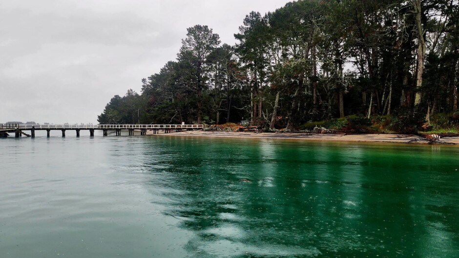 Tranquil Pane Pane wharf, off Matakana island.