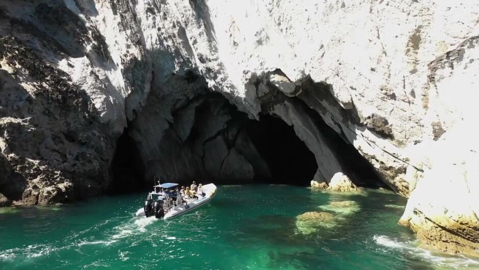 Cave Cruzer - Award Winning Boat Tour to Cathedral Cove & Beyond