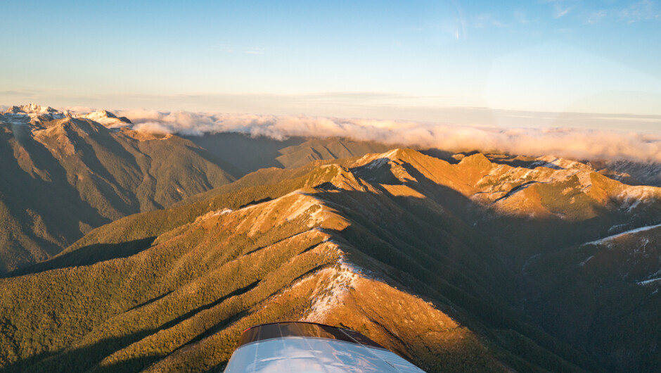 Kahurangi National Park